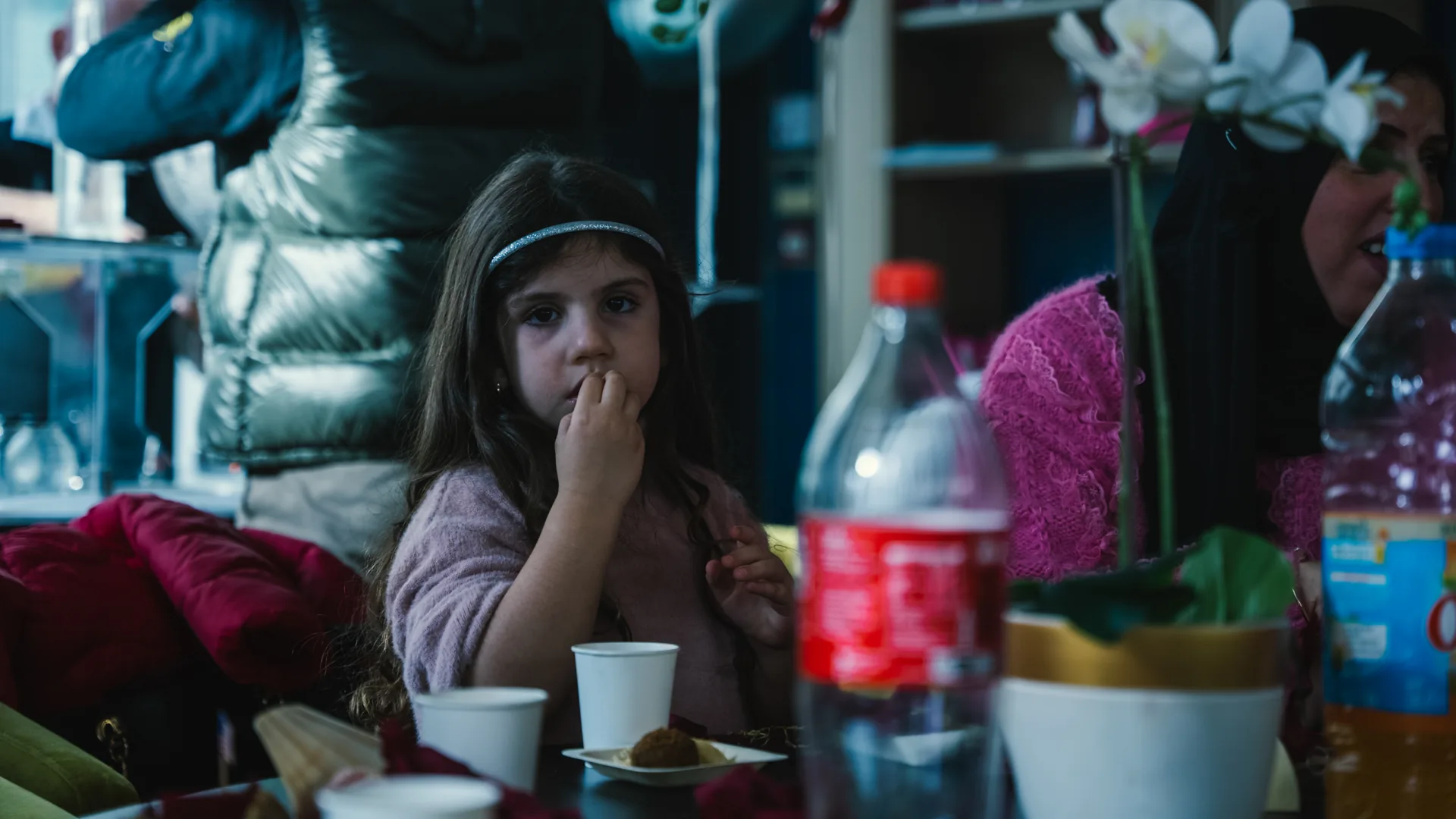 Photographie de famille n°7