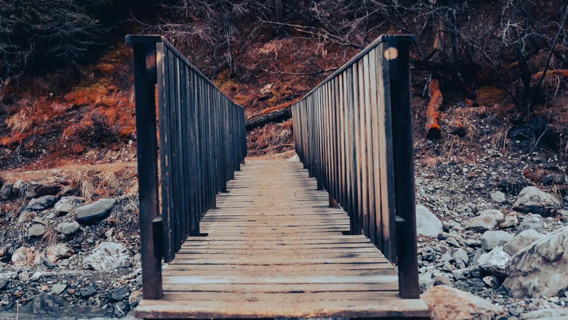 Photographie de paysage n°7